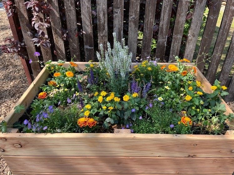 Gemeinsam für Artenvielfalt und Artenschutz und GEGEN den Klimawandel