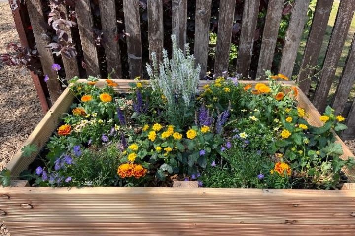 Gemeinsam für Artenvielfalt und Artenschutz und GEGEN den Klimawandel